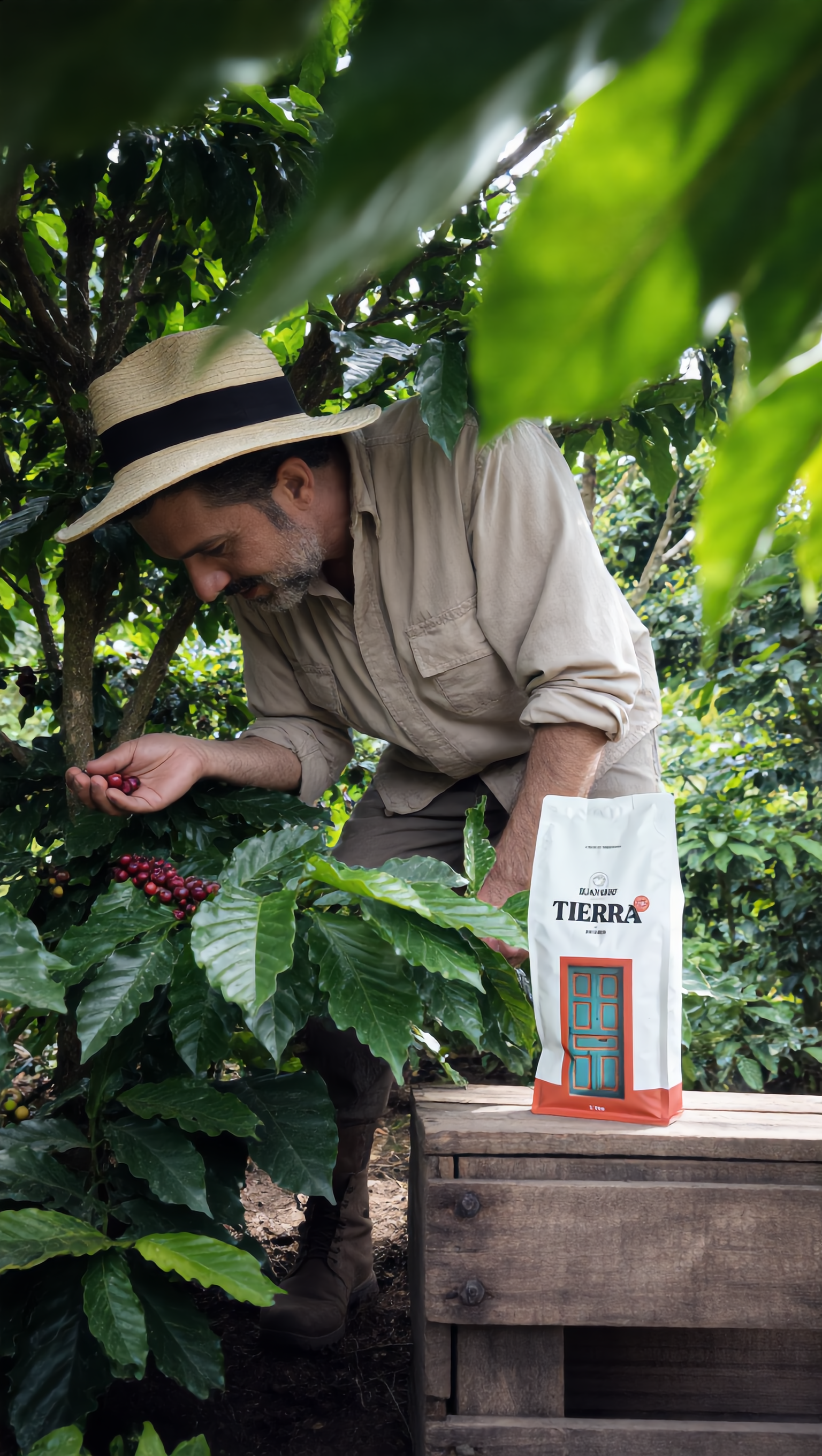 Tierra - Organic - Peru
